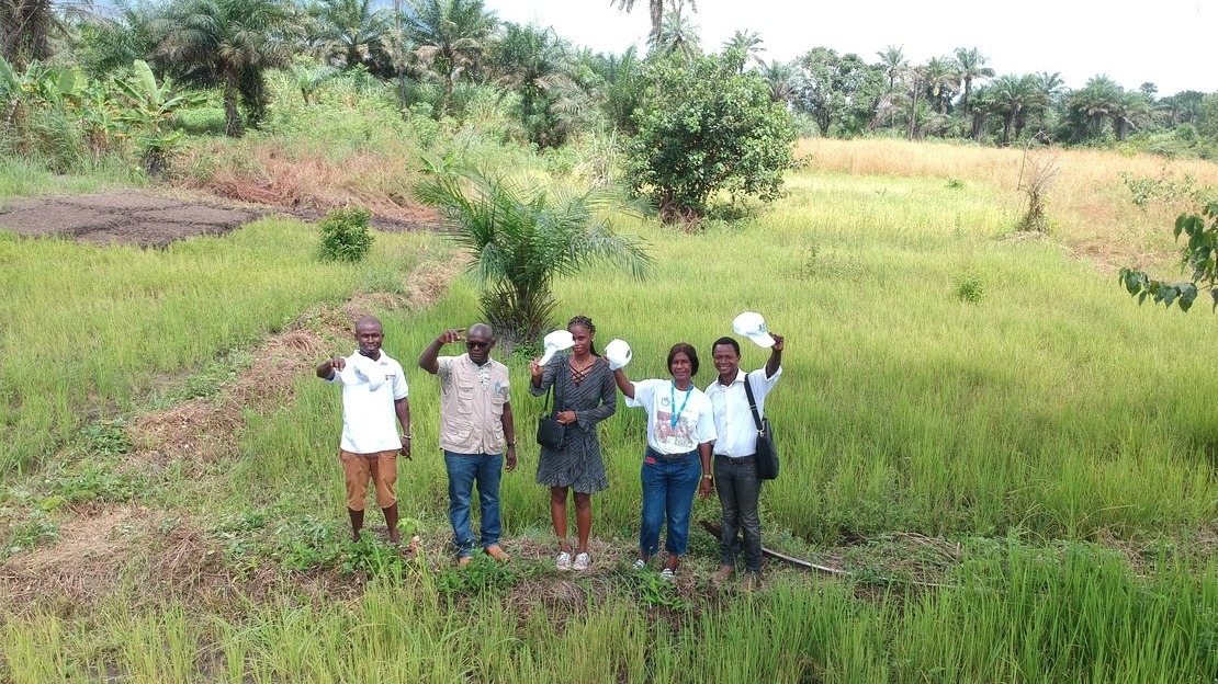 Sierra Leone: Inclusive mushroom farm project gives new hope
