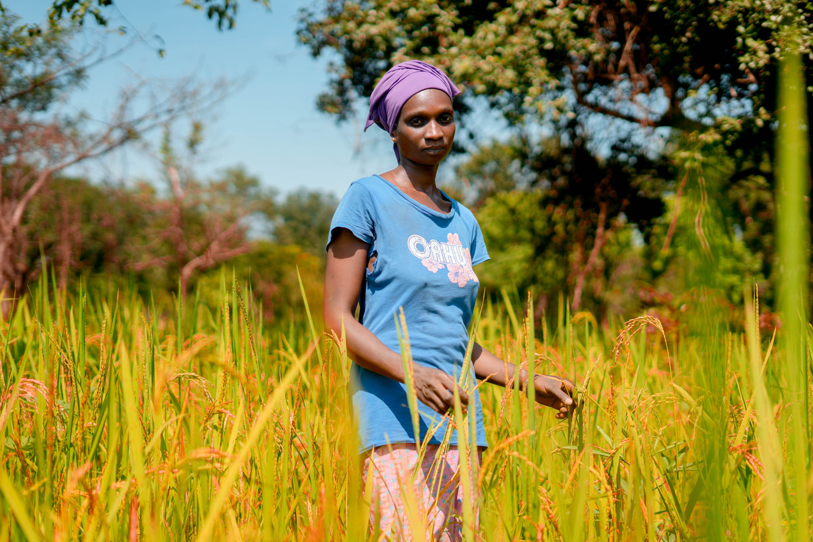 A young woman stands in the middle of a rice field. Behind her, tall trees block the horizon. She looks at the camera and holds some plants between her fingers.